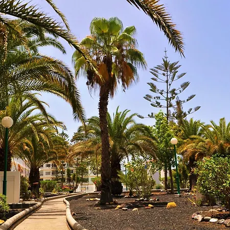 Apartamento Aloe Apartment, Playa del Inglés